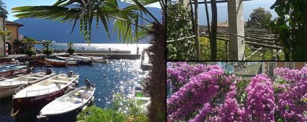 I Giardini di Limoni